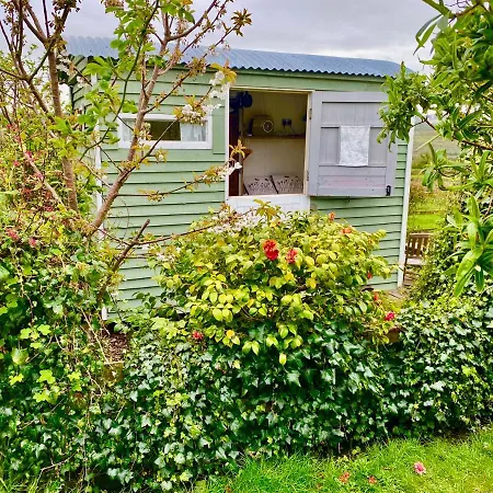 Shepherd's Hut Glamping *