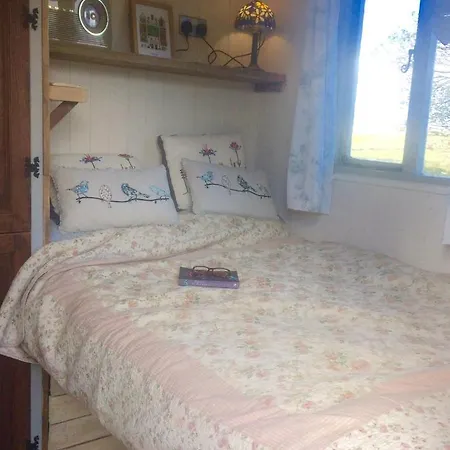 Shepherd's Hut Glamping *